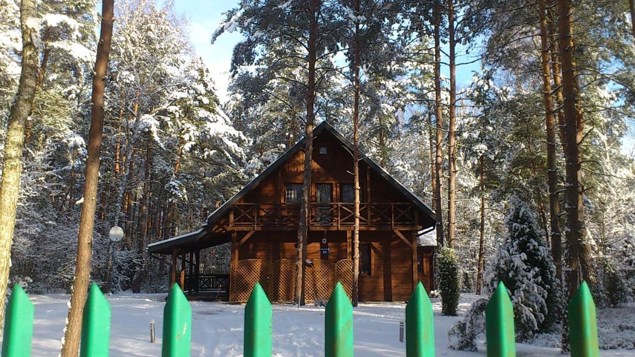 Villa Lesna Ostoja Nad Pilica Lechanice Exterior foto