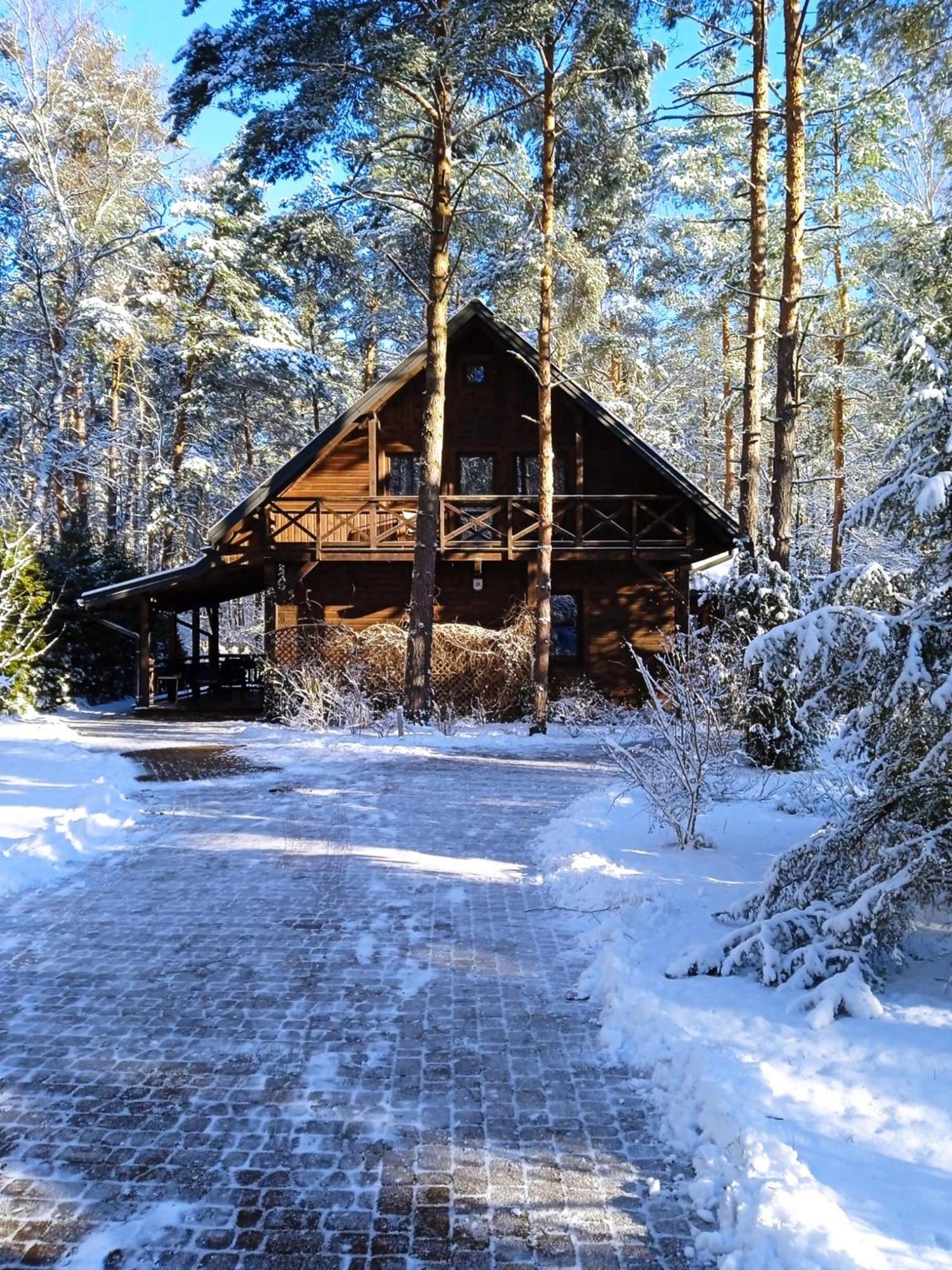 Villa Lesna Ostoja Nad Pilica Lechanice Exterior foto